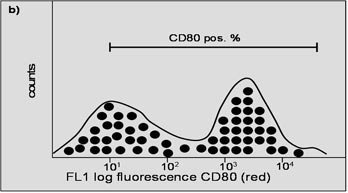Die beiden Histogramme zeigen die Ergebnisse für die Oberflächenmarker  CD14 (a) und CD80 (b) einzeln