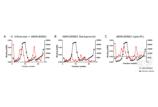 Enzyme Immunoassay validation image for anti-Haemophilus Influenzae antibody (ABIN180862) (Haemophilus Influenzae Antikörper)