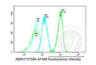 Flow Cytometry validation image for anti-Nucleophosmin (Nucleolar phosphoprotein B23, Numatrin) (NPM1) (AA 250-298), (C-Term) antibody (ABIN1737584) (NPM1 Antikörper  (C-Term))