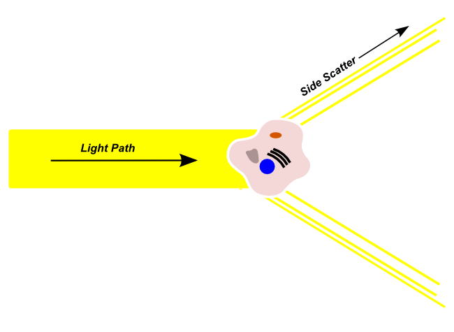 Side scattered light