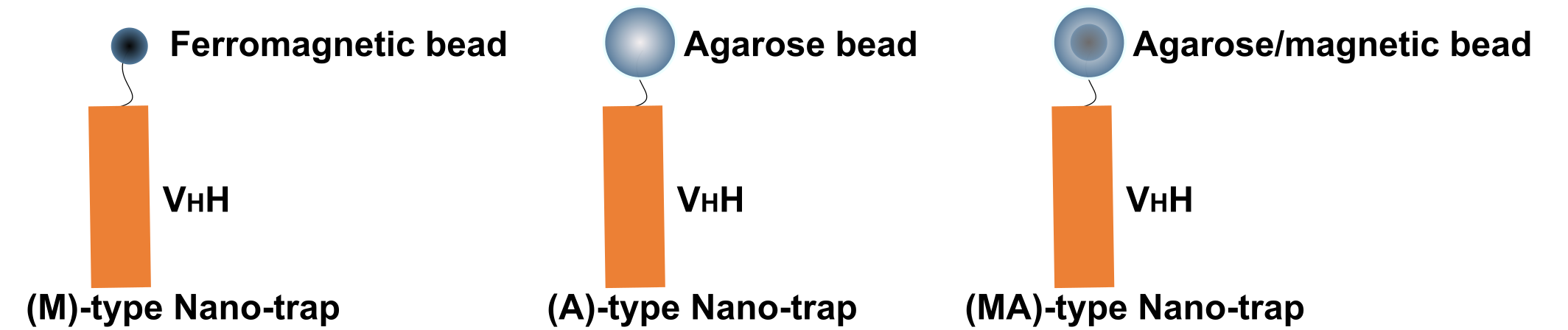 Drei Formen von Nano-Catchern