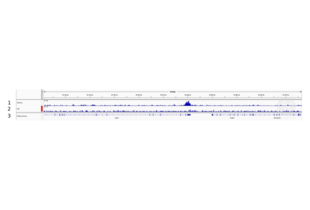 Cleavage Under Targets and Release Using Nuclease validation image for anti-Histone H3 (H3) (H3K9ac) antibody (ABIN2667854)
