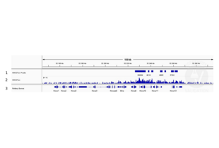 Cleavage Under Targets and Release Using Nuclease validation image for anti-Histone 3 (H3) (H3K27ac) antibody (ABIN2667903)