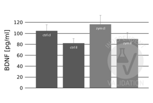 ELISA validation image for Brain-Derived Neurotrophic Factor (BDNF) ELISA Kit (ABIN411259)