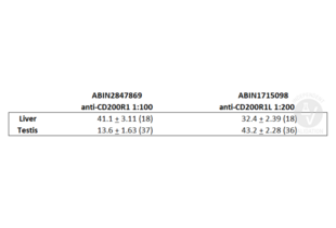 Immunohistochemistry validation image for anti-CD200 Receptor 1 (CD200R1) (AA 275-303), (C-Term) antibody (ABIN2847869)