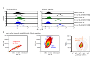 A Flow cytometry analysis of mature DCs from three different donors after incubation for 30min or 120min with or without ABIN2659082. B Consecutive gating for single cells (left panel), mDCs (middle panel), and living cells (right panel), illustrated on donor 2 samples stained for 30min with ABIN2659082. 