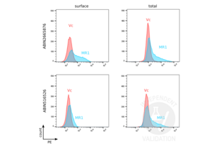 Flow Cytometry validation image for anti-Major Histocompatibility Complex, Class I-Related (MR1) (AA 201-300) antibody (ABIN516526)
