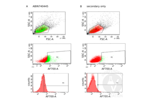 Flow Cytometry validation image for anti-Tumor Necrosis Factor Receptor Superfamily, Member 9 (TNFRSF9) (AA 101-200) antibody (ABIN740445)