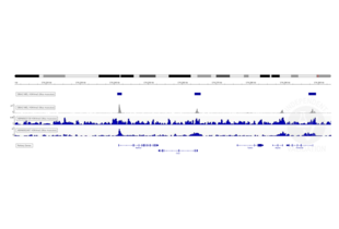 Cleavage Under Targets and Release Using Nuclease validation image for Magnetic Concanavalin A Beads (Agarose) (ABIN6952467)