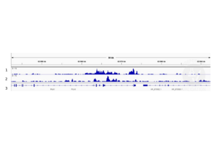 1. Alignment tracks from CUT&RUN targeting H3K4me in mouse fore limb (11.5) cells using anti-H3K4me antibody ABIN3023251. 2. Alignment tracks from CUT&RUN targeting GLI3 in mouse fore limb (11.5) cells using anti-GLI3 antibody ABIN2855813, showing GLI target gene Ptch1. 3. RefSeq Genes.