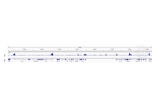 Cleavage Under Targets and Release Using Nuclease validation image for anti-Histone H3 (H3) (3meLys4) antibody (ABIN6971977)