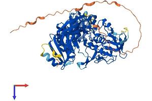 AIFM3 Protein (AA 1-605) (His tag)