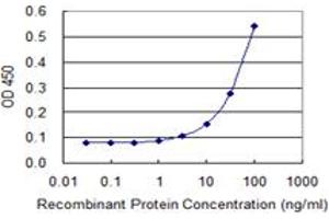 Detection limit for recombinant GST tagged GAD2 is 3 ng/ml as a capture antibody. (GAD65 Antikörper  (AA 1-585))