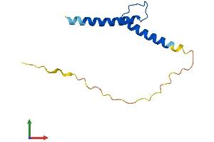 Protein Structure (PS) image for T-Cell Acute Lymphocytic Leukemia 2 (TAL2) (AA 1-108) protein (His tag) (ABIN7544160)