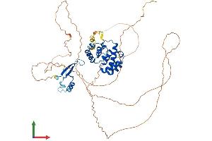 Protein Structure (PS) image for Methyl-CpG Binding Domain Protein 4 (MBD4) (AA 1-580) protein (His tag) (ABIN7549356)