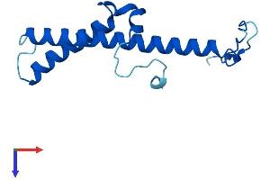 NDUFC2 Protein (AA 1-120) (His tag)