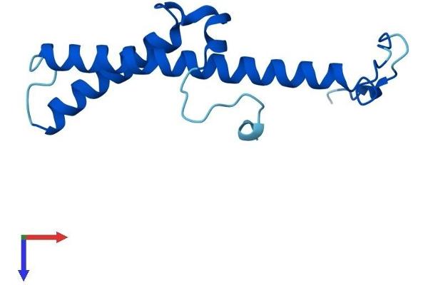 NDUFC2 Protein (AA 1-120) (His tag)