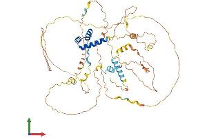 AlphaFold protein structure predicition of Mouse Recombinant Arx Protein, UniprotID O35085