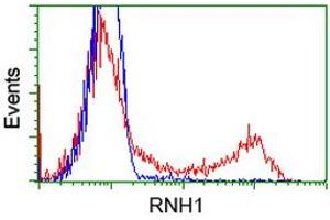 HEK293T cells transfected with either RC208360 overexpress plasmid (Red) or empty vector control plasmid (Blue) were immunostained by anti-RNH1 antibody (ABIN2453613), and then analyzed by flow cytometry. (RNH1 Antikörper)