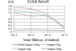 ELISA image for anti-Tubulin, beta 2A (TUBB2A) (AA 25-187) antibody (ABIN1724832)