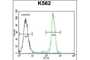 C Antibody (Center) (ABIN655633 and ABIN2845112) flow cytometric analysis of K562 cells (right histogram) compared to a negative control cell (left histogram).