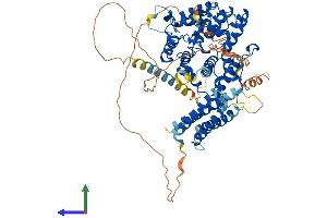Protein Structure (PS) image for G Protein-Coupled Receptor Kinase Interactor 2 (GIT2) (AA 1-708) protein (His tag) (ABIN7561681)