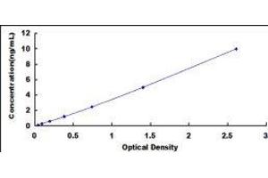 ELISA image for Ubiquinol-Cytochrome C Reductase Core Protein II (UQCRC2) ELISA Kit (ABIN429852) (UQCRC2 ELISA Kit)