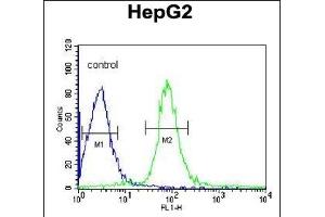 VHL Antibody (C-term) (ABIN390463 and ABIN2840833) flow cytometric analysis of HepG2 cells (right histogram) compared to a negative control cell (left histogram). (VHL Antikörper  (C-Term))
