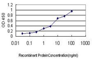 Detection limit for recombinant GST tagged GCG is approximately 0. (Glucagon Antikörper  (AA 1-180))