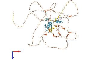 KLF4 Protein (AA 1-513) (His tag)