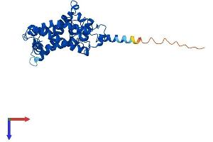 SC5DL Protein (AA 1-299) (His tag)