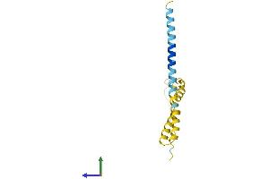 Protein Structure (PS) image for Interferon Induced Transmembrane Protein 5 (IFITM5) (AA 1-132) protein (His tag) (ABIN7548429)