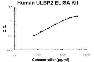 Human ULBP2 PicoKine ELISA Kit standard curve (ULBP2 ELISA Kit)