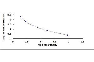 Salusin alpha (Salusin alpha) ELISA Kit