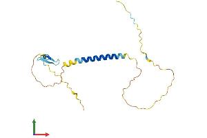 Protein Structure (PS) image for Tumor Necrosis Factor Receptor Superfamily, Member 13C (TNFRSF13C) (AA 1-175) protein (His tag) (ABIN7561120)