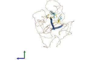 Protein Structure (PS) image for Retinoblastoma Binding Protein 8 (RBBP8) (AA 1-893) protein (His tag) (ABIN7564302)
