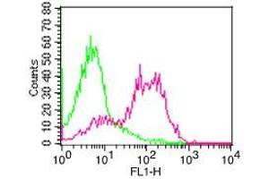 Flow Cytometry (FACS) image for anti-CD6 (CD6) antibody (FITC) (ABIN5027675) (CD6 Antikörper  (FITC))