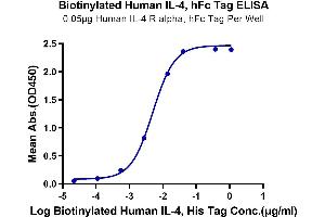 Immobilized Human IL-4 R alpha, hFc Tag at 0. (IL-4 Protein (AA 25-153) (His-Avi Tag,Biotin))