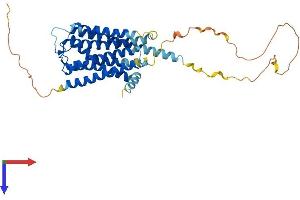 DRD4 Protein (AA 1-387) (His tag)