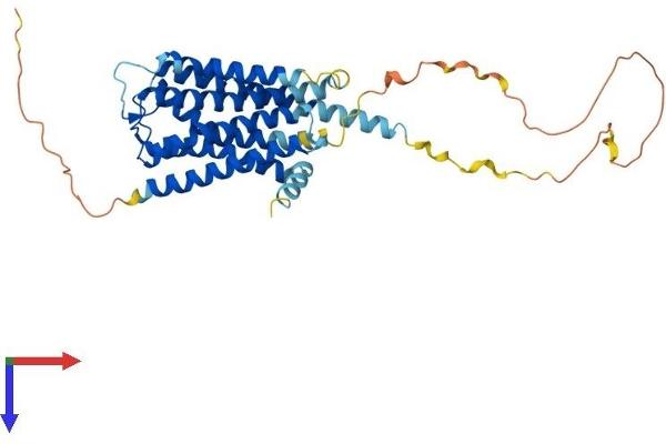 DRD4 Protein (AA 1-387) (His tag)