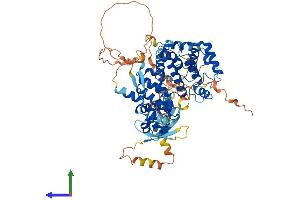 Protein Structure (PS) image for rho GTPase Activating Protein 40 (ARHGAP40) (AA 1-672) protein (His tag) (ABIN7562132)