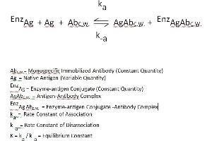 Digoxin (DIG) CLIA Kit