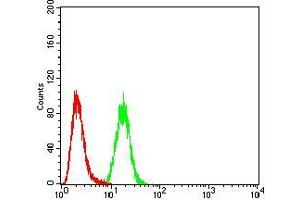 Flow cytometric analysis of A549 cells using CALB2 mouse mAb (green) and negative control (red).