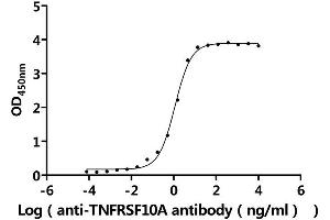 Measured by its binding ability in a functional ELISA.