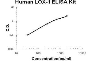 Human LOX-1/OLR1 PicoKine ELISA Kit standard curve (OLR1 ELISA Kit)