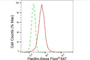 Flow cytometric analysis of Paxillin expression in HT- cells using Paxillin antibody (ABIN7799744), 1:2,000). (Rekombinanter Paxillin Antikörper)