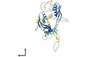 AlphaFold protein structure predicition of Mouse Recombinant Stau1 Protein, UniprotID Q9Z108