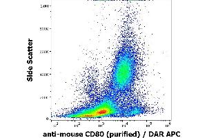 Flow cytometry surface staining pattern of murine peritoneal fluid cell suspension stained using anti-mouse CD80 (16-10A1) Purified antibody (concentration in sample 2 μg/mL). (CD80 Antikörper)