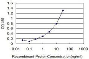 Detection limit for HbA1c is approximately 1ng/ml as a capture antibody. (HBA1 Antikörper  (N-Term))