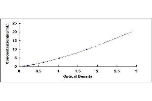 Typical standard curve (Anoctamin 6 ELISA Kit)